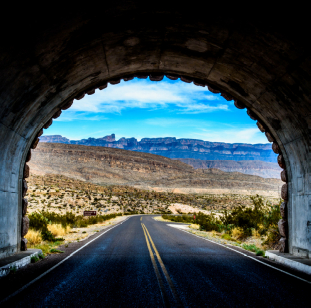 CÔNG TY TNHH THƯƠNG MẠI ADOONIS GROUP